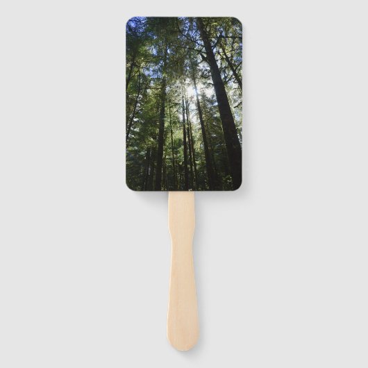 Sunlight Through Pine Trees Handwaaier (Achterkant)