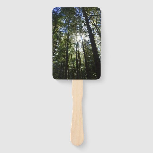 Sunlight Through Pine Trees Handwaaier (Voorkant)