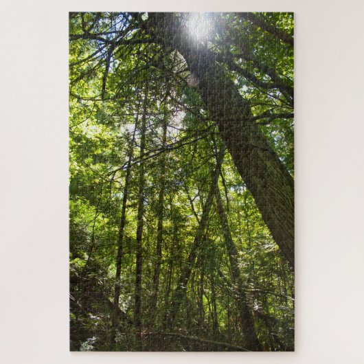 Sunlight Through the Forest Canopy Legpuzzel (Verticaal)