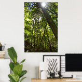 Sunlight Through the Forest Canopy Poster (Thuiskantoor)