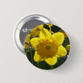 Sunlit Daffodil Ronde Button 5,7 Cm (Voorkant /achterkant)