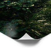 Sunlit Forest Path Through Ancient Pines Perfect Poster (Hoek)