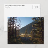 Sunlit Frosted Pine Trees at Dream Lake Briefkaart (Voorkant / Achterkant)