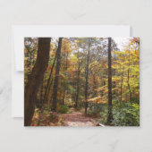 Sunlit Herfst Trail in Laurel Hill State Park (Voorkant)