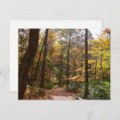 Sunlit Herfst Trail in Laurel Hill State Park (Voorkant / Achterkant)