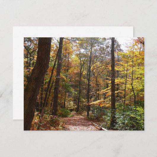 Sunlit Herfst Trail in Laurel Hill State Park (Voorkant / Achterkant)