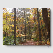 Sunlit Herfst Trail in Laurel Hill State Park Gastenboek (Achterkant)