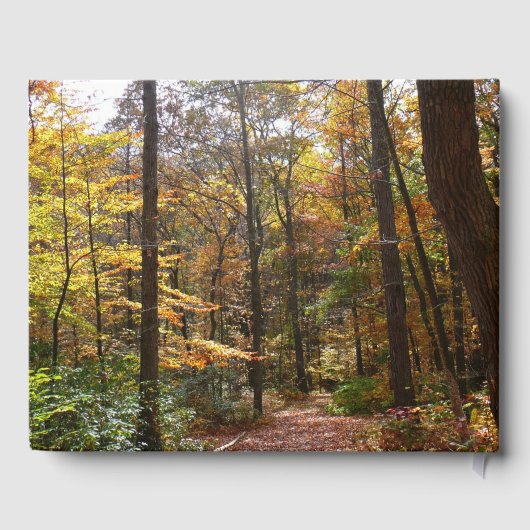 Sunlit Herfst Trail in Laurel Hill State Park Gastenboek (Achterkant)