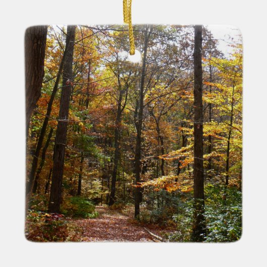 Sunlit Herfst Trail in Laurel Hill State Park Keramisch Ornament (Voorkant)