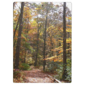 Sunlit Herfst Trail in Laurel Hill State Park Klembord (Achterkant)