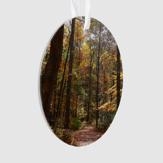 Sunlit Herfst Trail in Laurel Hill State Park Ornament (voorkant)