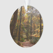 Sunlit Herfst Trail in Laurel Hill State Park Ornament (voorkant)
