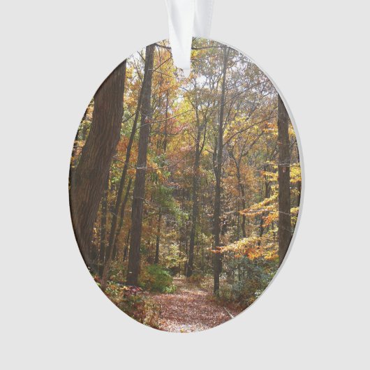 Sunlit Herfst Trail in Laurel Hill State Park Ornament (voorkant)