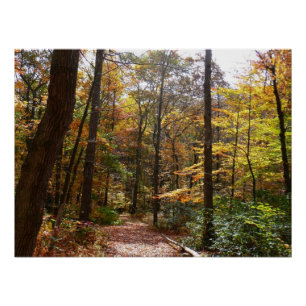 Sunlit Herfst Trail in Laurel Hill State Park Perfect Poster