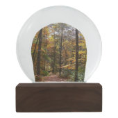 Sunlit Herfst Trail in Laurel Hill State Park Sneeuwbol (Achterkant)