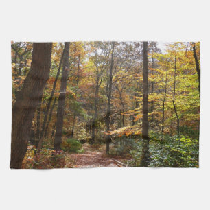Sunlit Herfst Trail in Laurel Hill State Park Theedoek