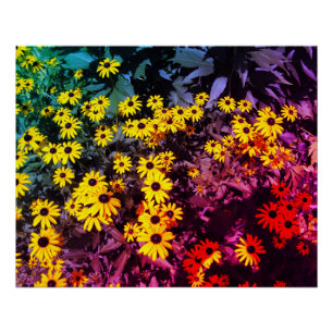 Sunlit Meadow Perfect Poster