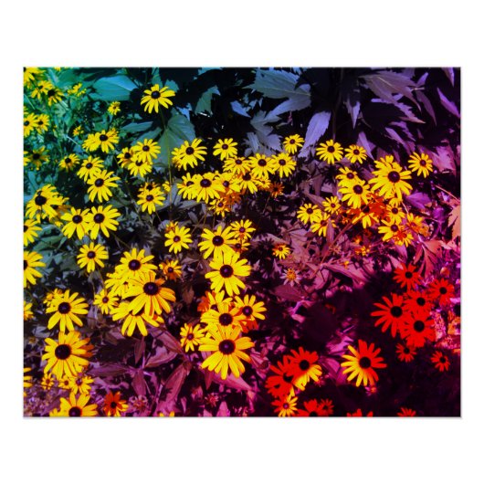 Sunlit Meadow Perfect Poster (Voorkant)