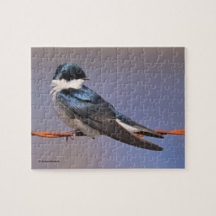 Sunlit Profile of a Tree Swallow Songbird Legpuzzel