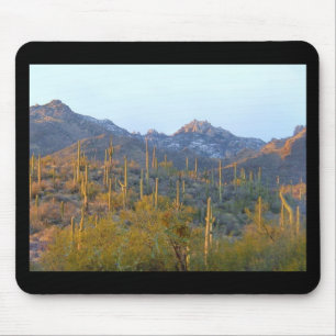 Sunlit Saguaro Field Muismat