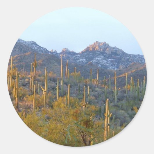 Sunlit Saguaro Field Ronde Sticker (Voorkant)