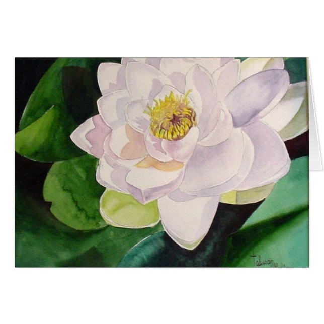 Sunlit Water Lily Card (Voorkant Horizontaal)