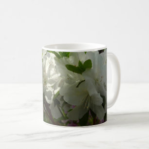 Sunlit White Azaleas Beauful Spring Flowers Koffiemok