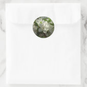 Sunlit White Azaleas Beauful Spring Flowers Ronde Sticker (Tas)