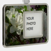 Sunlit White Azaleas Beauful Spring Flowers Verzilverd Kader Ornament (Rechts)