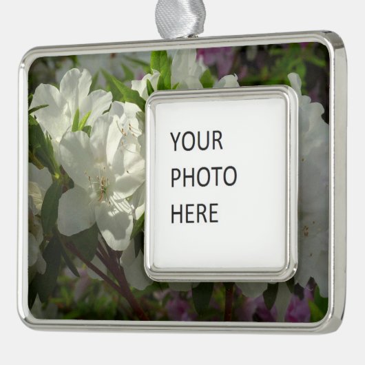 Sunlit White Azaleas Beauful Spring Flowers Verzilverd Kader Ornament (Links)