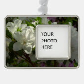 Sunlit White Azaleas Beauful Spring Flowers Verzilverd Kader Ornament (Voorkant)