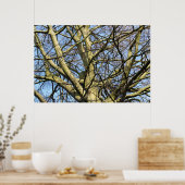 Sunlit Winter Branches Poster (Keuken)