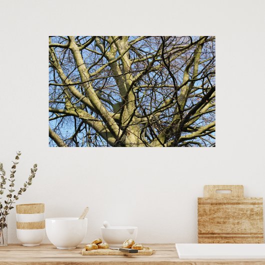 Sunlit Winter Branches Poster (Keuken)
