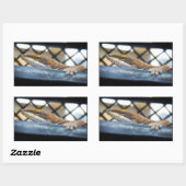 Sunning Green Anole Lizard Foto Rechthoekige Sticker (Vel)