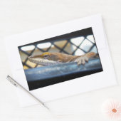 Sunning Green Anole Lizard Foto Rechthoekige Sticker (Envelop)