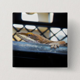 Sunning Green Anole Lizard Foto Vierkante Button 5,1 Cm