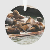 Sunning Lions à San Francisco (dos)