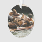 Sunning Lions à San Francisco (devant)