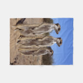 Sunning Meerkats Fleece Blanket (Voorkant (Horizontaal))