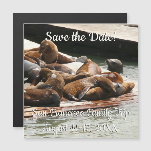 Sunning Zee Lions in San Francisco Save the Date (Voorkant / Achterkant)