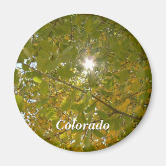 Sunny Aspen Magneet