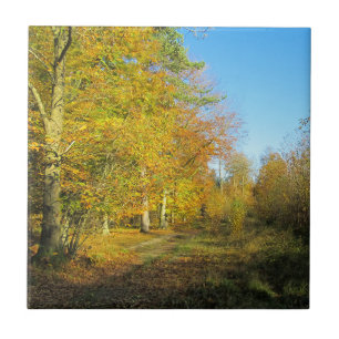 Sunny Autumn Walk - gepersonaliseerde keramiek Tegeltje