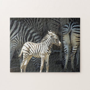 Sunny Baby Zebra Legpuzzel
