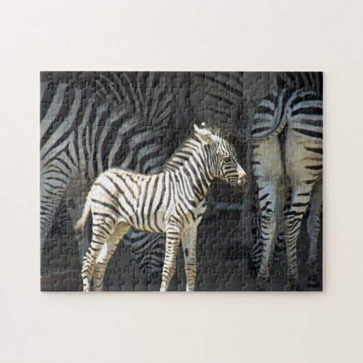 Sunny Baby Zebra Legpuzzel (Horizontaal)