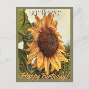 Sunny Birthday Wishes Briefkaart