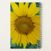 Sunny Blossoms - Carnet photo Sunflower (Verso)