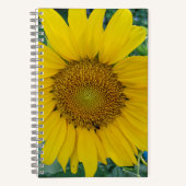 Sunny Blossoms - Carnet photo Sunflower (Recto)