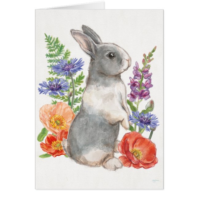 Sunny Bunny (Voorkant)