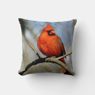 Sunny Cardinal Crest Coussin