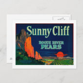 Sunny Cliff Pear Crate LabelMedford, OF Briefkaart (Voorkant / Achterkant)